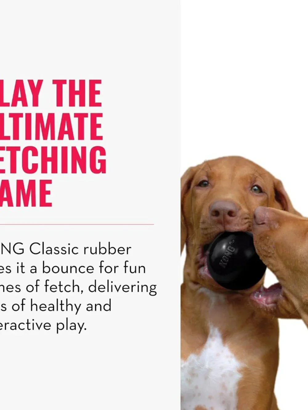 KONG Extreme Ball with Hole Dog Fetch Toy M/L Durable Natural Rubber Black